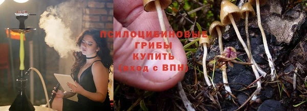 марки lsd Заводоуковск